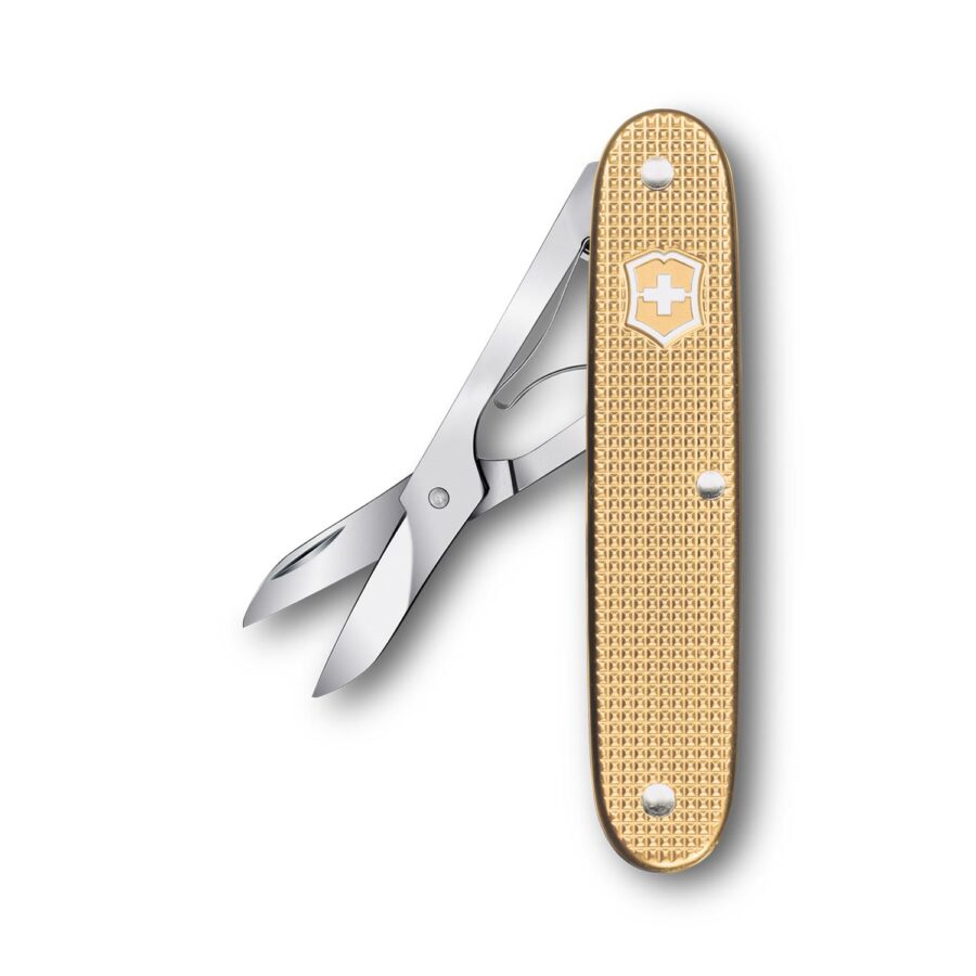 NAVAJA COMPANION X ALOX GOLD